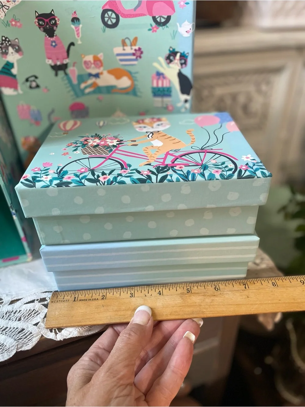 Clementine Parisian cats storage box set